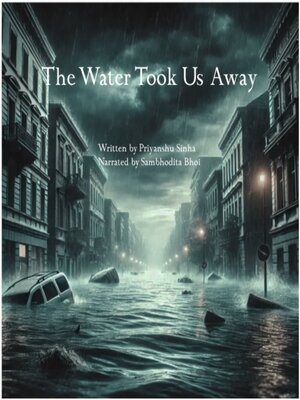 cover image of The Water Took Us away- Hindi